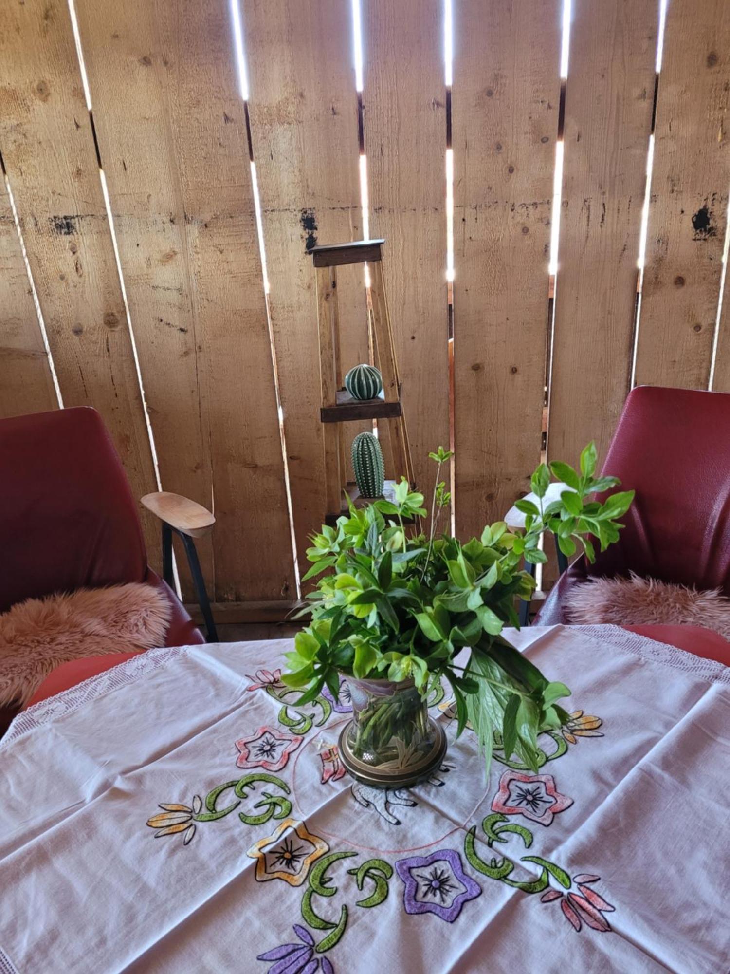Albergue Nomads Glamp Bled Exterior foto